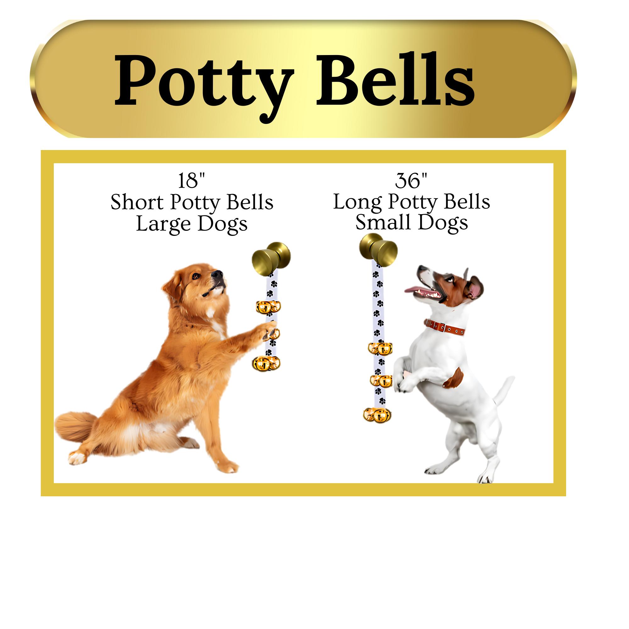 how to train your dog to use potty bells